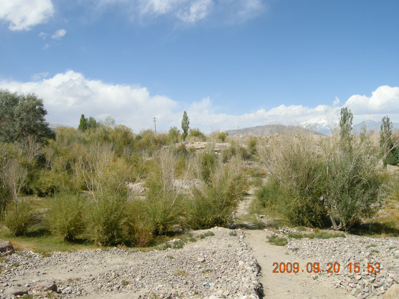 dscn4151.jpg
