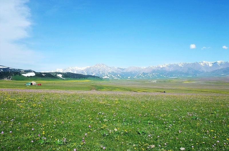 2dscf4760.jpg