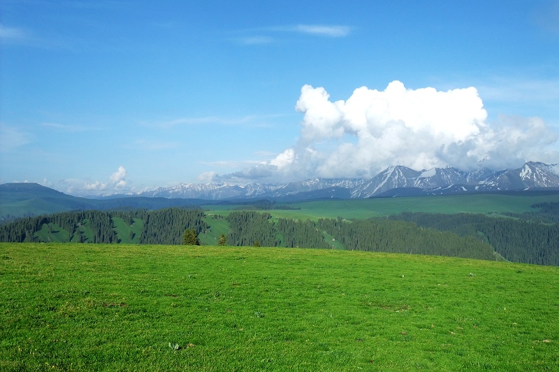 2dscf4868.jpg