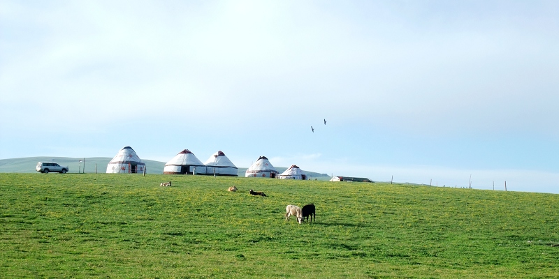 2dscf4870.jpg
