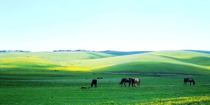 2dscf4988.jpg