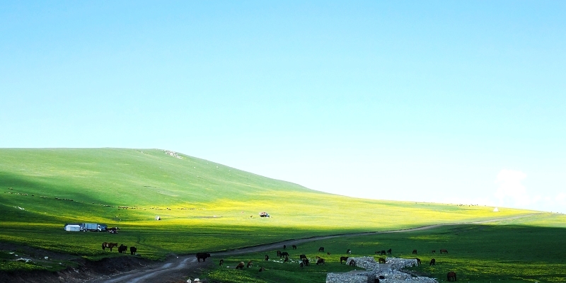 2dscf4994.jpg