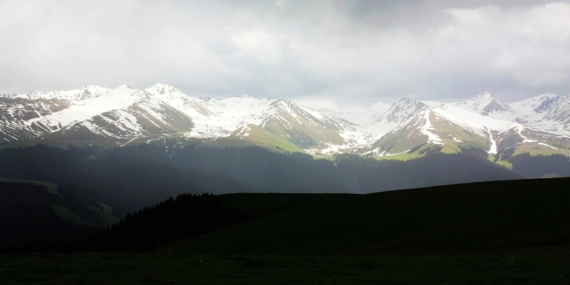 2imga_5895.jpg