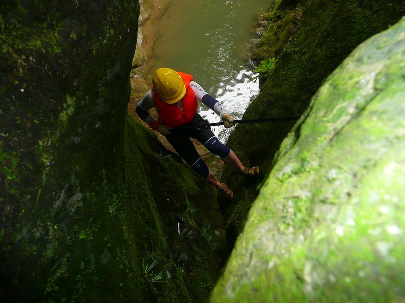 p1040594.jpg