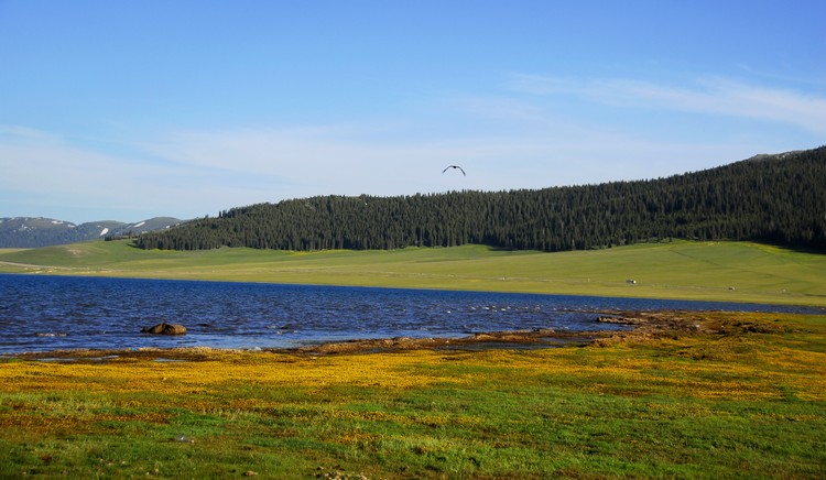 _dsc0588.jpg