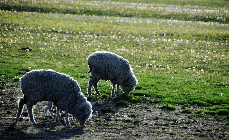 _dsc0615.jpg