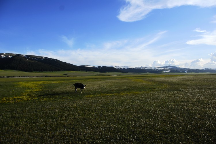 _dsc0604.jpg