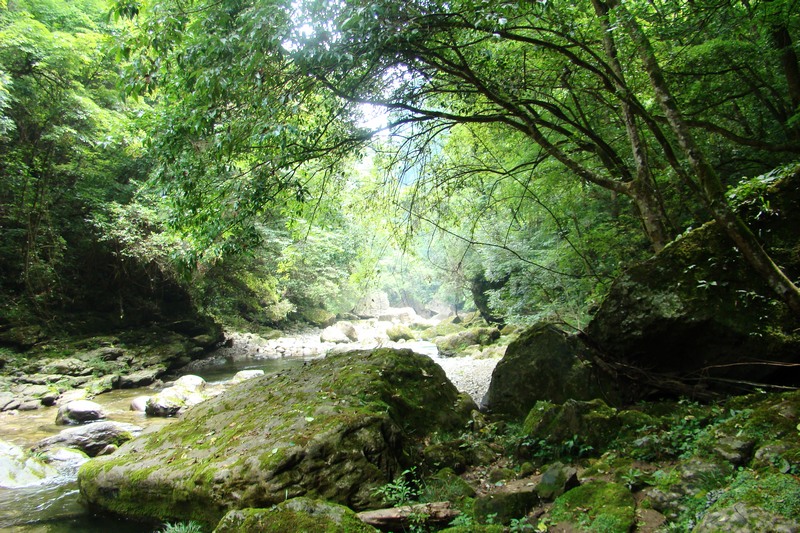 dsc07654.jpg