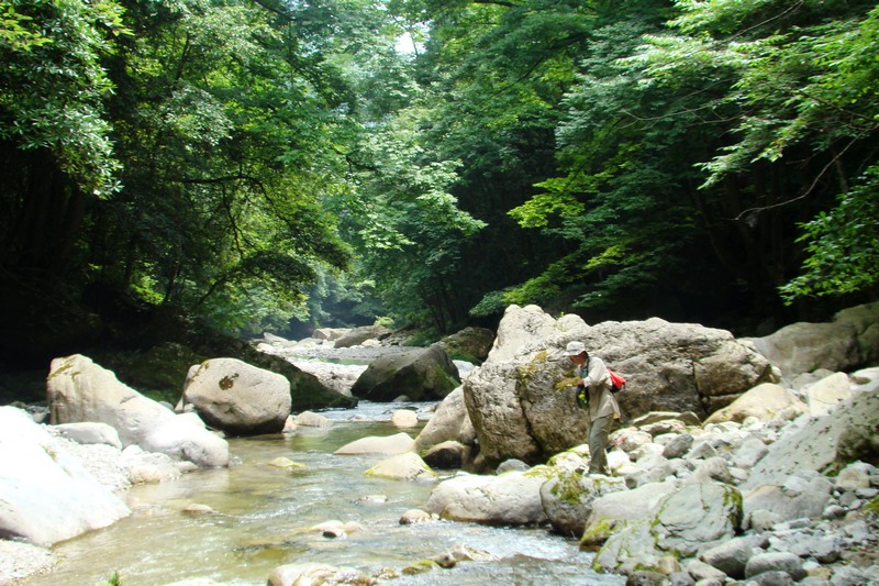 dsc07665.jpg
