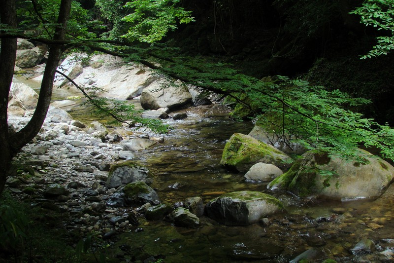 dsc07669.jpg