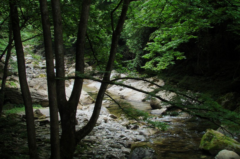 dsc07670.jpg