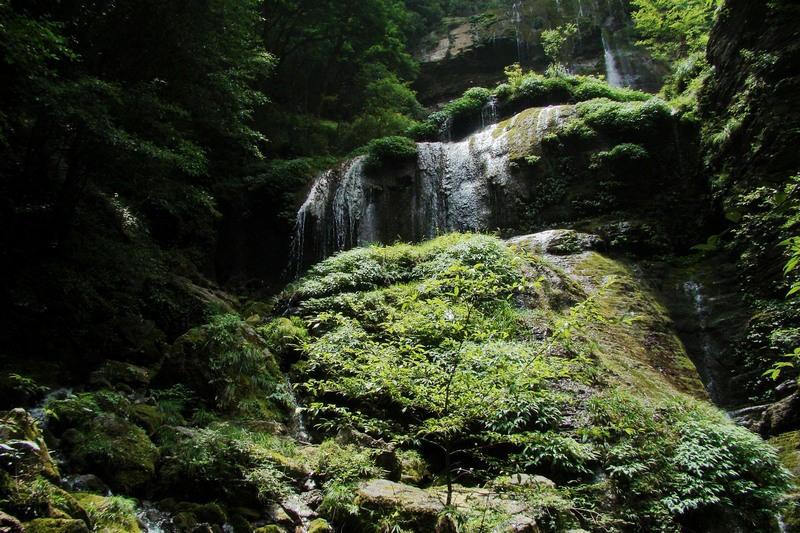 dsc07684.jpg