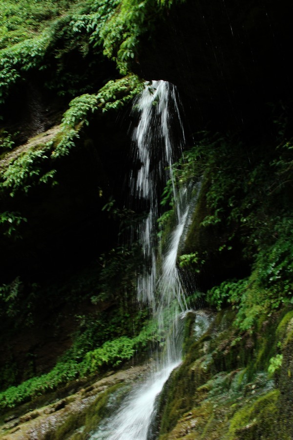 dsc07710.jpg