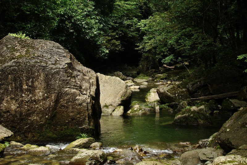 dsc07715.jpg