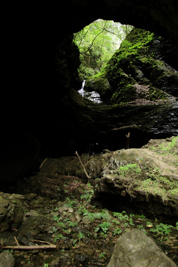 dsc07742.jpg