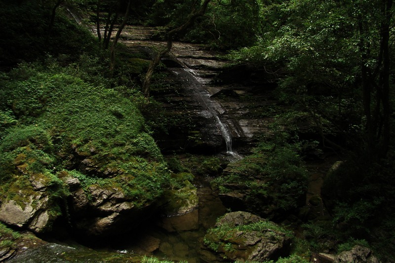 dsc07750.jpg