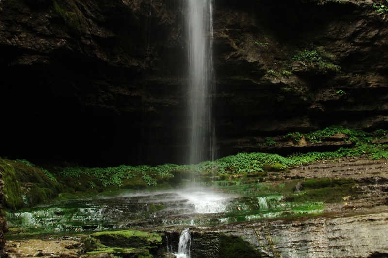 dsc07754.jpg