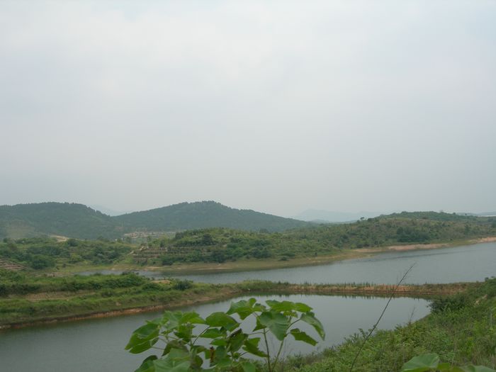dscn8827.jpg
