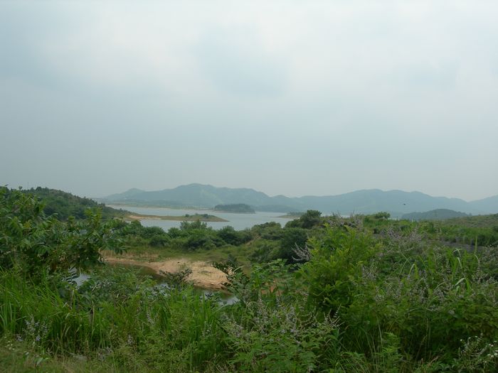dscn8821.jpg