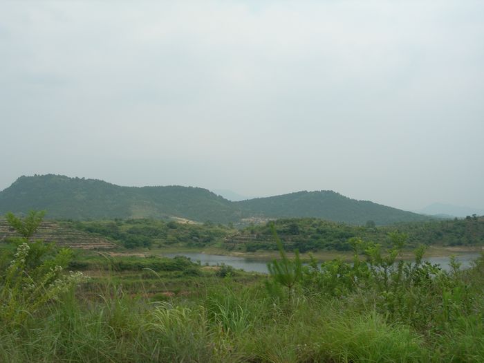 dscn8828.jpg