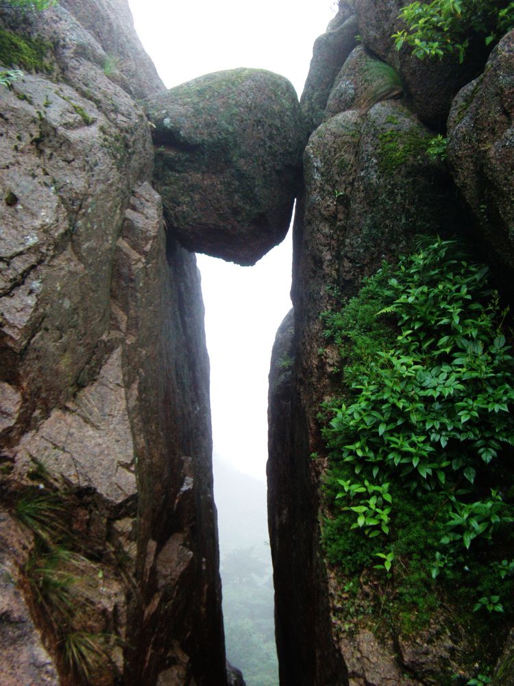 78.jpg