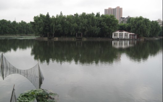 03.jpg