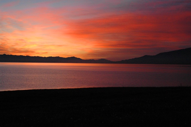 dsc_3658q.jpg