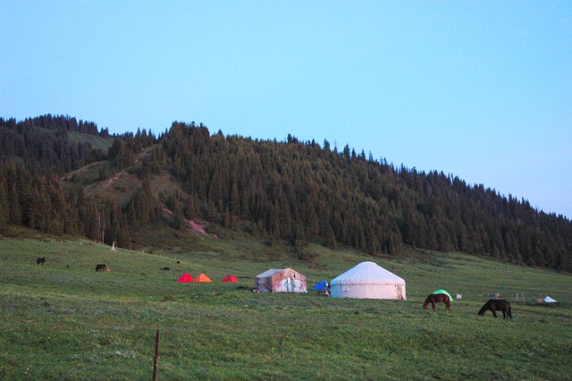 dsc_3655q.jpg