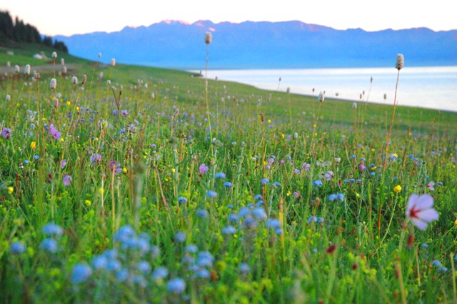dsc_3678q.jpg