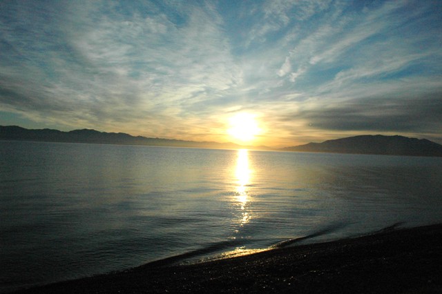 dsc_3724q.jpg