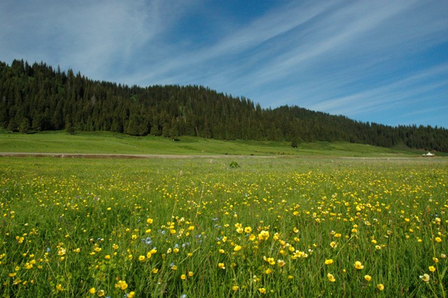 dsc_3841q.jpg