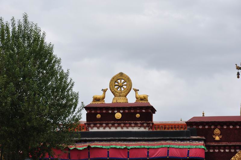 С dsc_0121.jpg