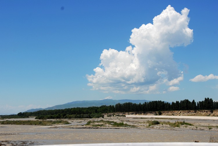 dsc_0453.jpg
