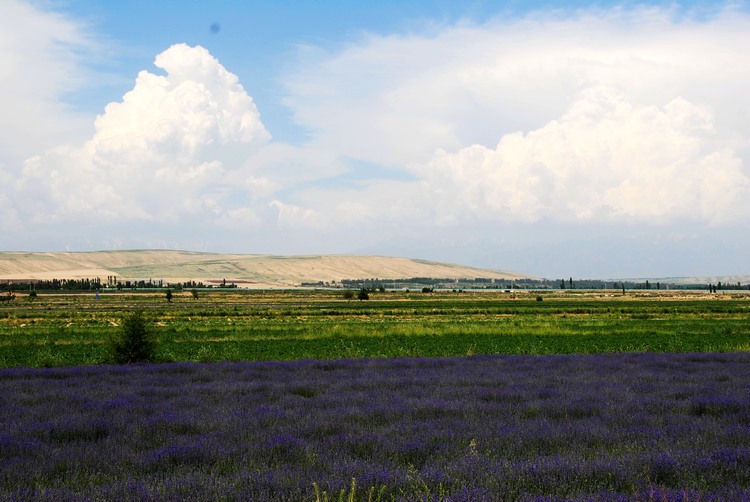 dsc_0875.jpg
