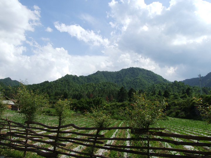 dscf7376.jpg