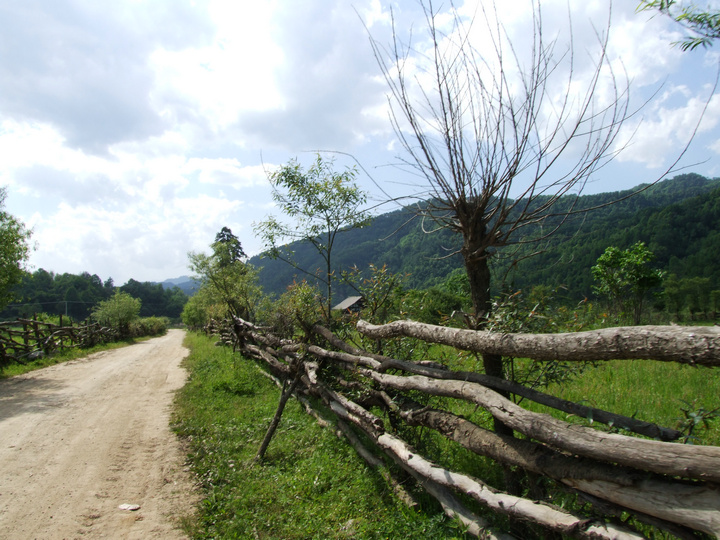 dscf7374.jpg