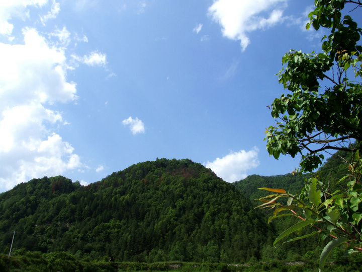 dscf7379.jpg
