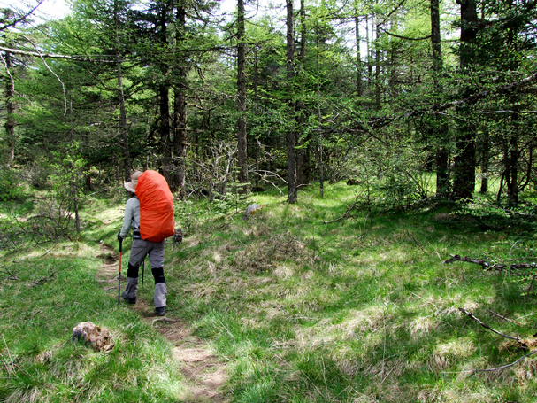 dscf7390.jpg
