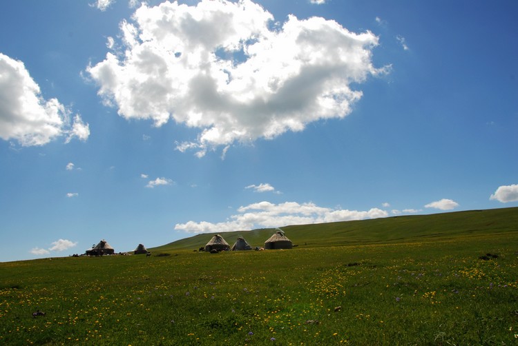 dsc_0426.jpg