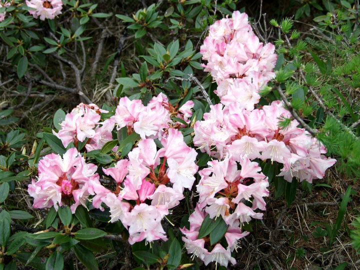 dscf7408.jpg