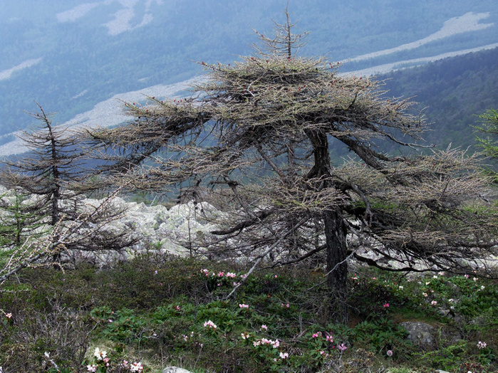 dscf7405.jpg