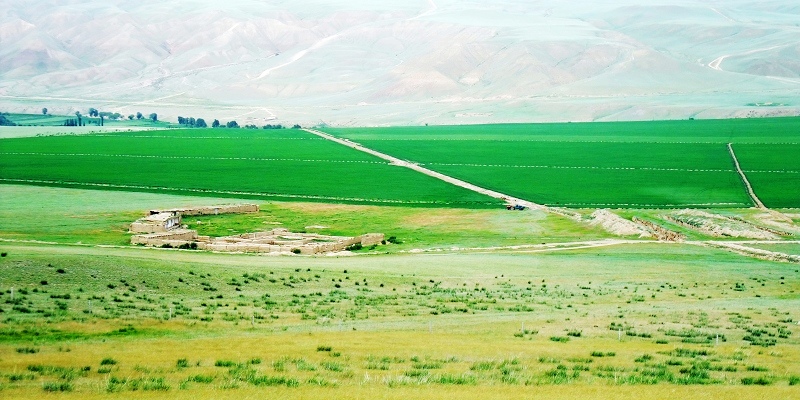 2dscf5143.jpg
