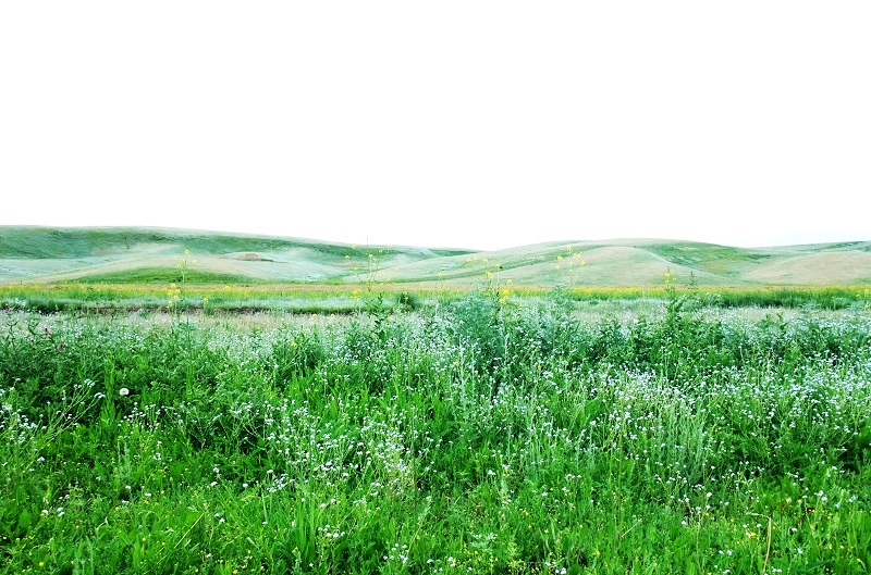 2dscf5212.jpg