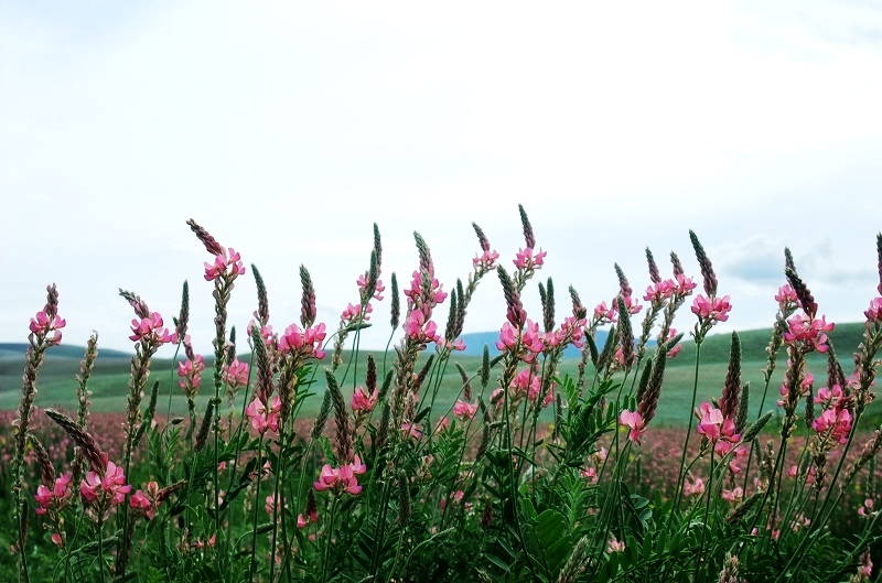 2dscf5250.jpg