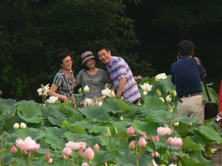 p1100954.jpg