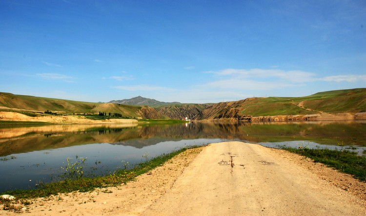 dsc_0006.jpg
