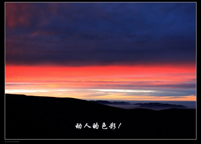 20090126_f9cce4a60d071b0bca51ufqxdopvchsw_jpg_thum