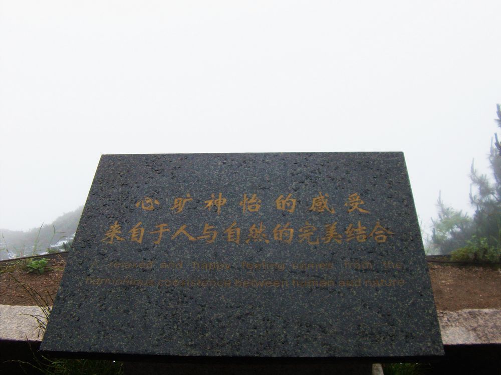 93.jpg
