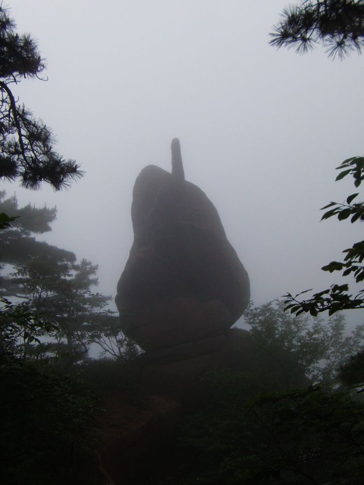 96.jpg