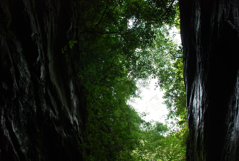 dsc_0974.jpg
